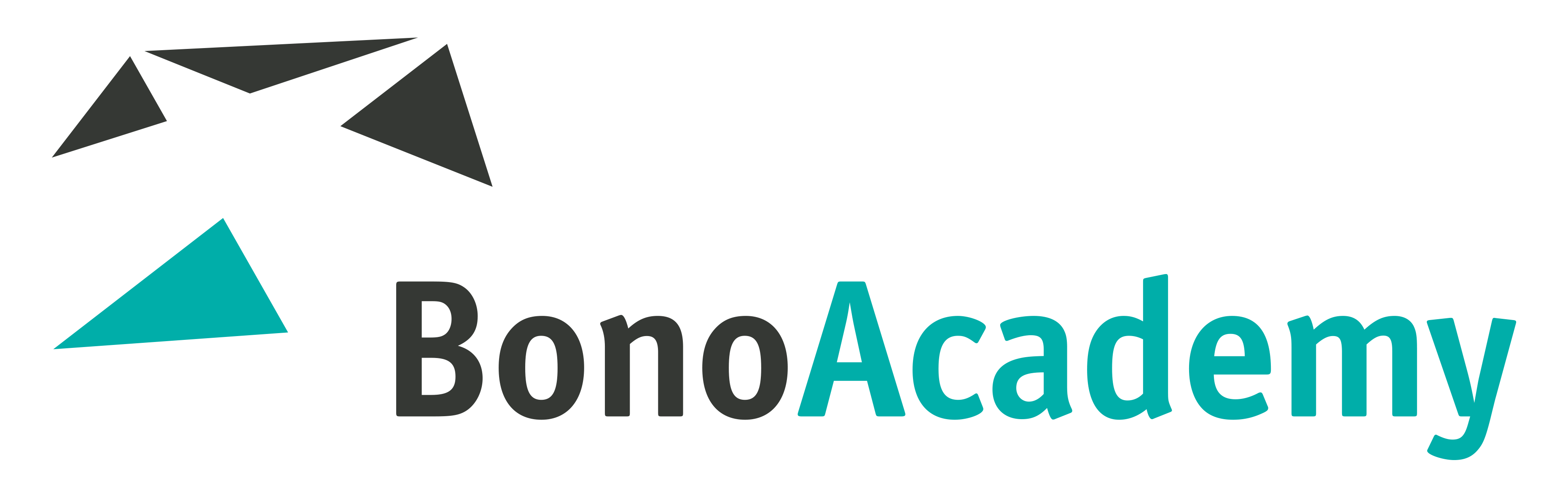 BonoAcademy